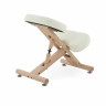 Стул для коррекции осанки Мед-Мос МА-04 татами (ХIV-ДЛ) (СТ-16ДА) кремовый Стул для коррекции осанки Мед-Мос МА-04 татами (ХIV-ДЛ) (СТ-16ДА) кремовый